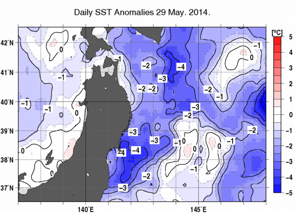 東北周辺海域の海面水温平年差分布図（5月29日）