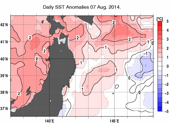 東北周辺海域の海面水温平年差分布図（8月7日）