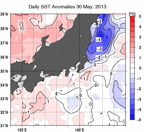 関東・東海・北陸周辺海域の海面水温偏差分布図（5月30日）
