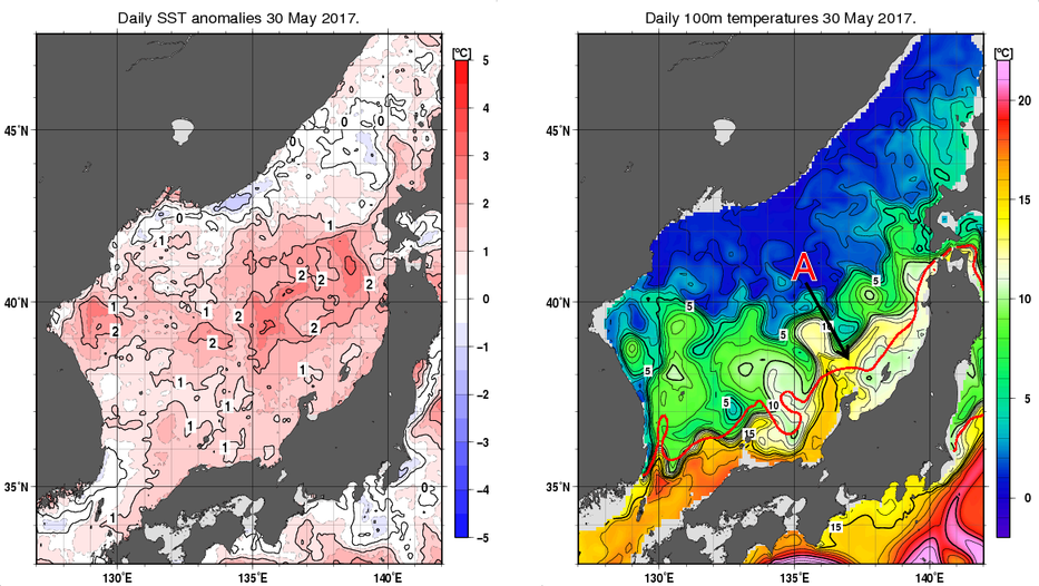 日本海の海面水温平年差分布図および深さ100mの水温分布図（5月30日）
