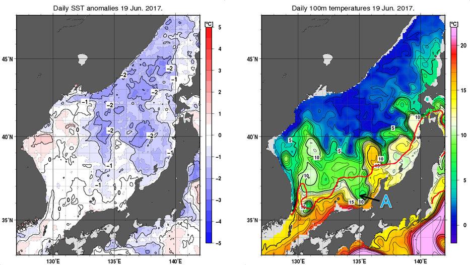 日本海の海面水温平年差分布図および深さ100mの水温分布図（6月19日）