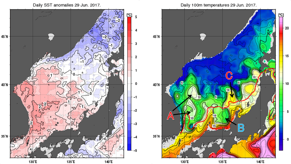 日本海の海面水温平年差分布図および深さ100mの水温分布図（6月29日）
