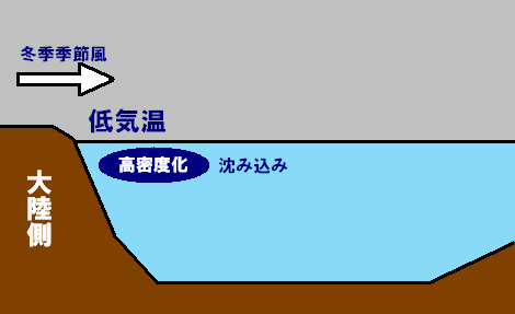 日本海固有水の形成