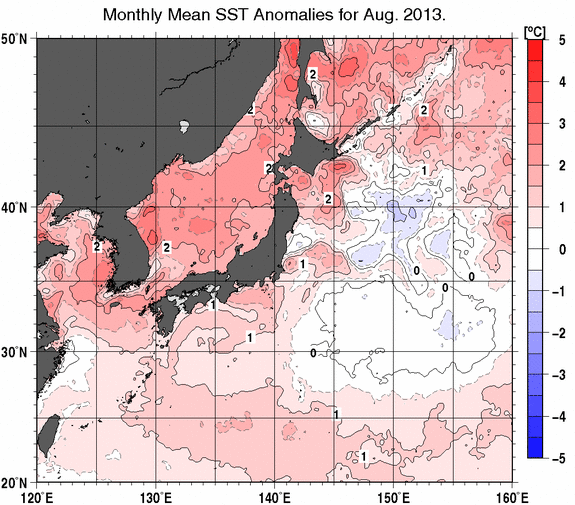 2013年8月の月平均海面水温平年差の分布