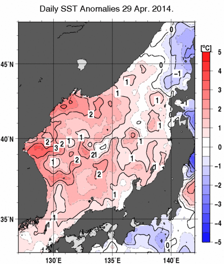 日本海の海面水温平年差分布図（4月29日）