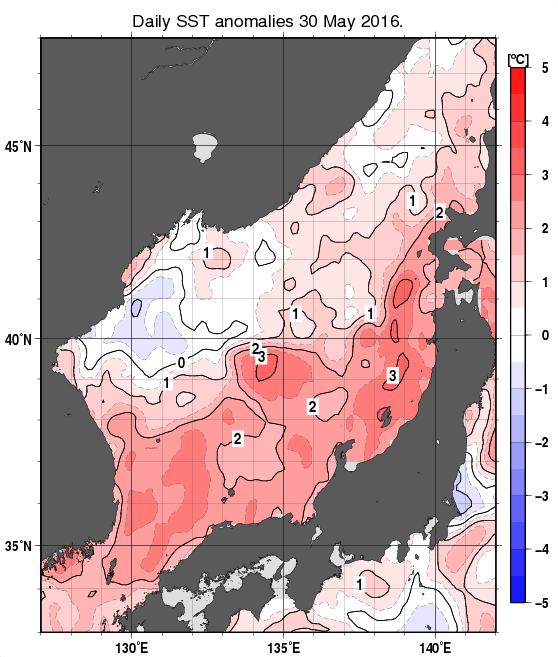 日本海の海面水温平年差分布図（5月30日）