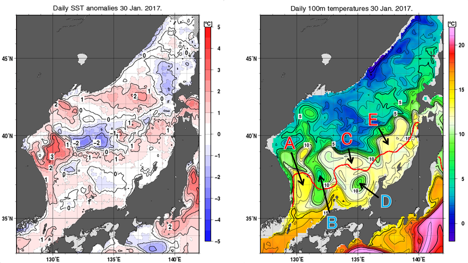 日本海の海面水温平年差分布図および深さ100mの水温分布図（1月30日）