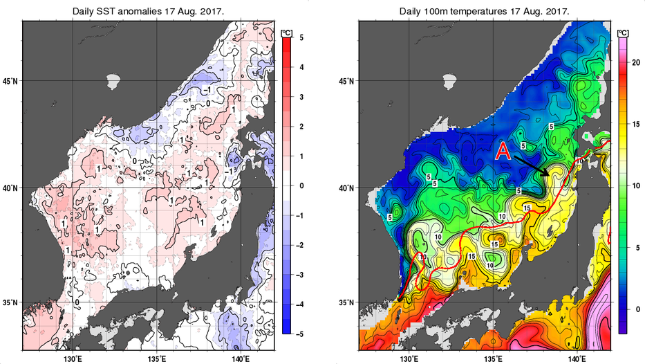 日本海の海面水温平年差分布図および深さ100mの水温分布図（8月17日）