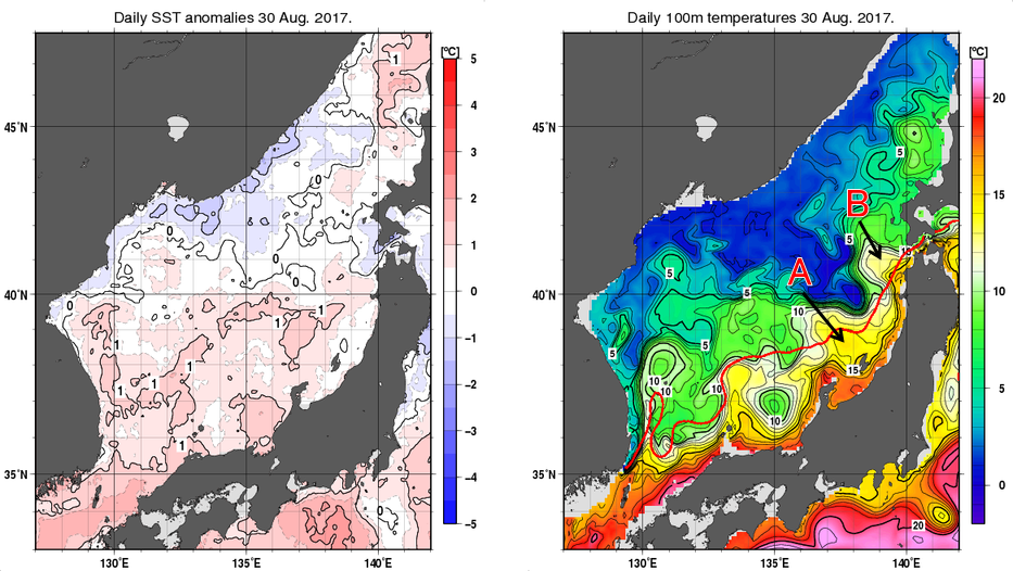 日本海の海面水温平年差分布図および深さ100mの水温分布図（8月30日）