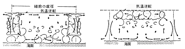 オープンセル（左）とクローズドセル（右）のモデル図