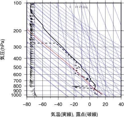 エマグラム画像