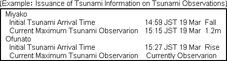 Example of Tsunami Information on Tsunami Observations