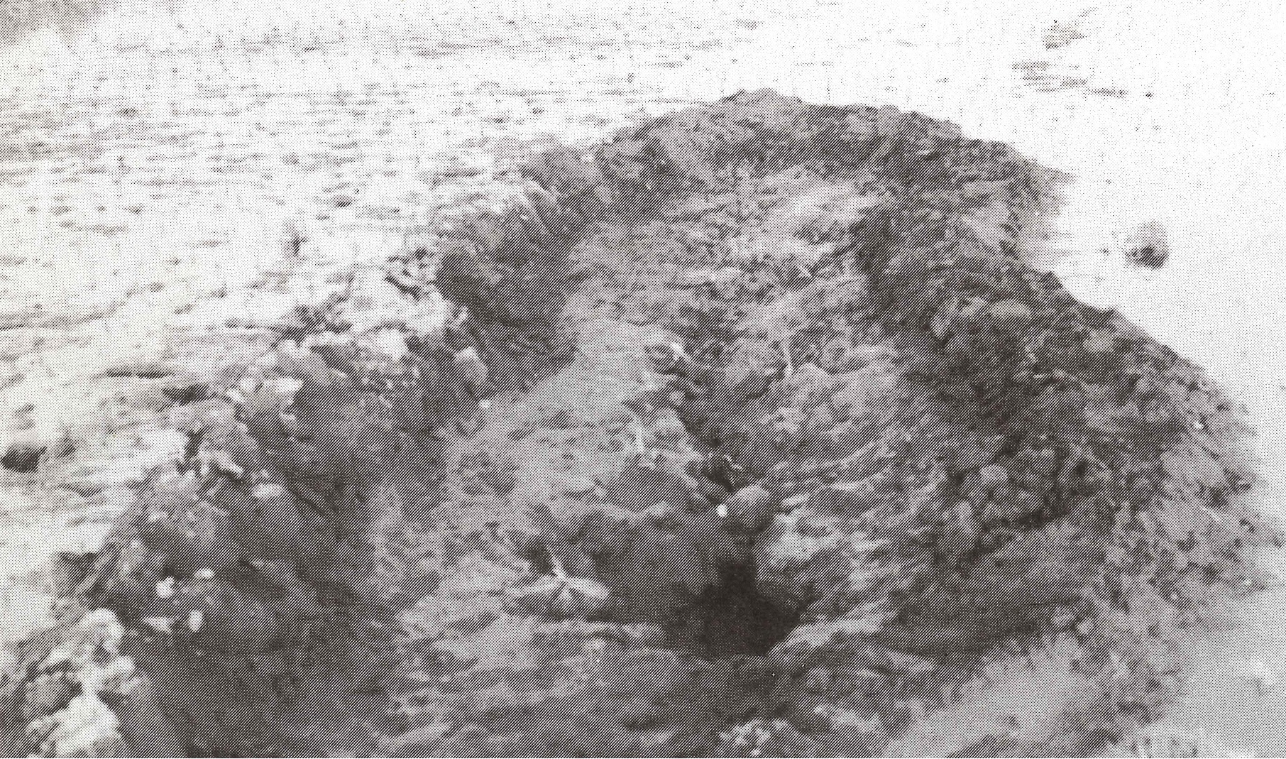 地震被害写真（北羽新報社）