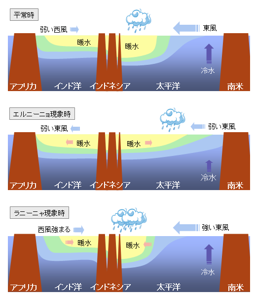 図１ エルニーニョ/ラニーニャ現象に伴うインド洋熱帯域の海洋変動