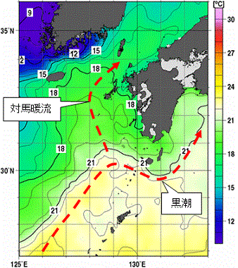 九州・山口県周辺海域　旬平均海面水温（2010年12月21日～31日平均） 