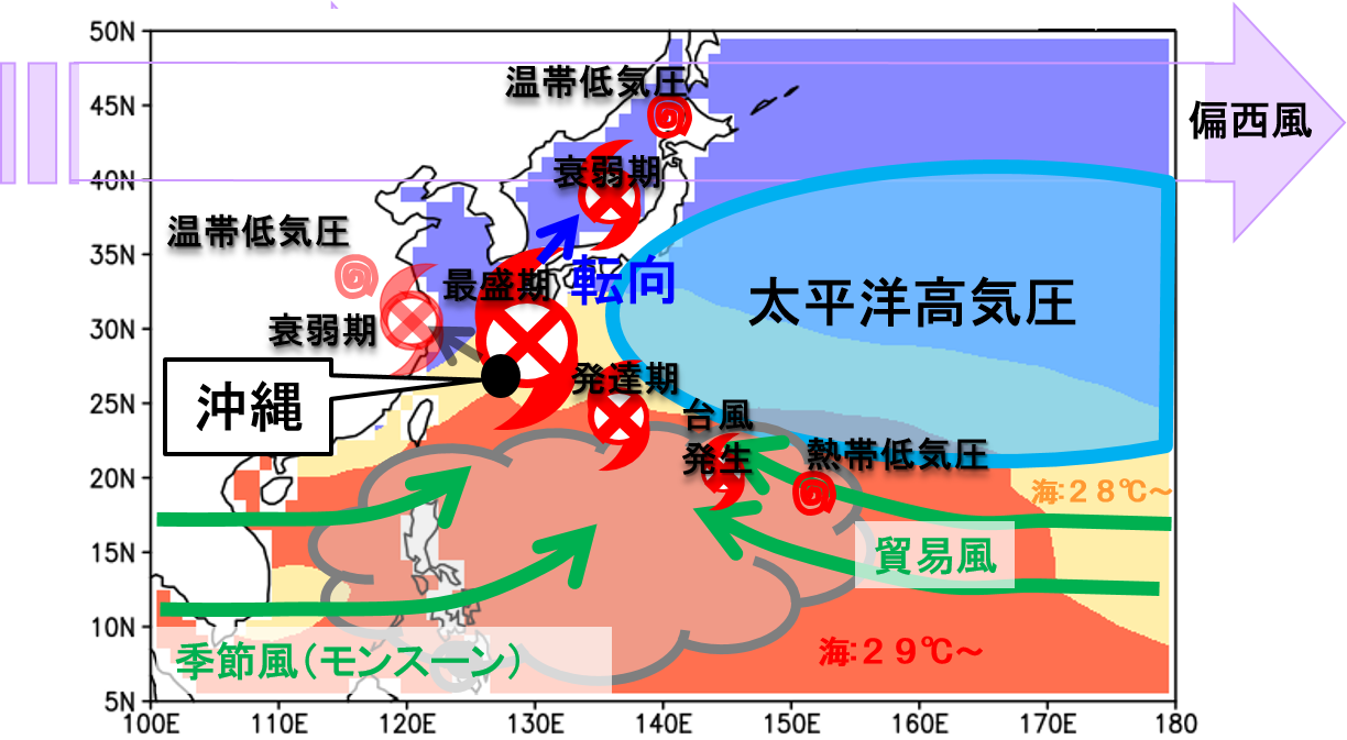 北西太平洋における8～9月の大気の流れ