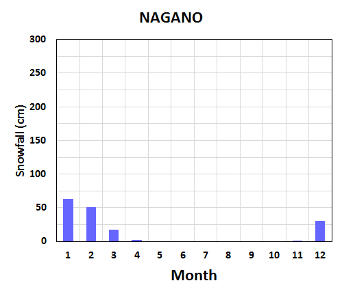 Seasonal variation of meteorological elements in Nagano City