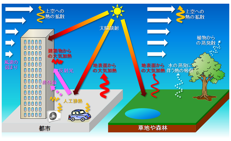 出典：気象庁ホームページ　ヒートアイランド現象の概念図