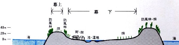 南大東島模式断面図