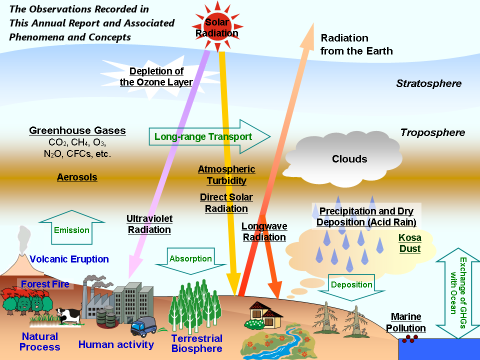 Phenomena and Concepts Covered by the Report