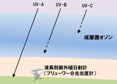 各領域の紫外線とオゾン層の関係
