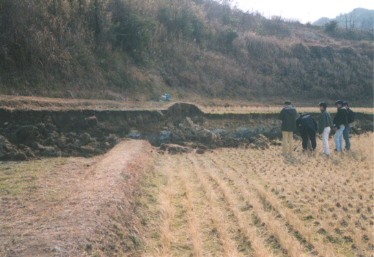 野島断層