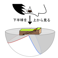図２の球の下半分を上から見ているイメージ図
