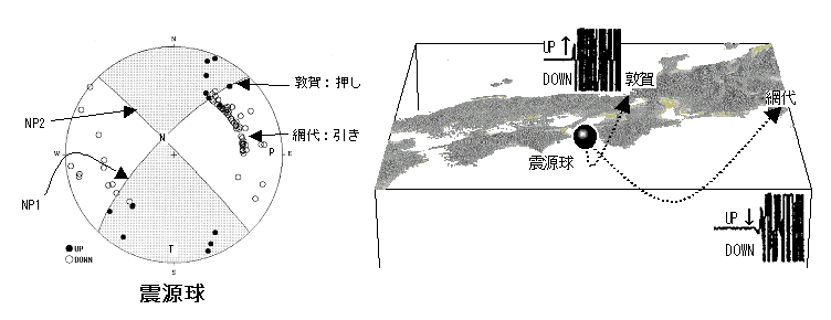 観測した初動極性を震源球上に写す