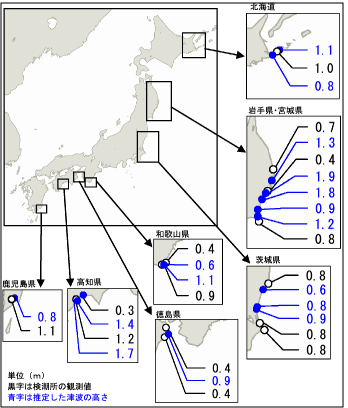 津波の現地調査の結果