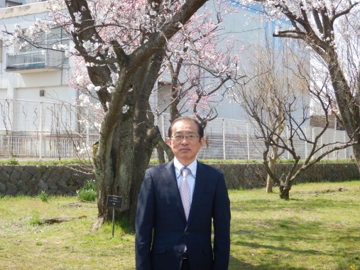 そめいよしのを背景に撮影