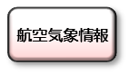 航空気象情報