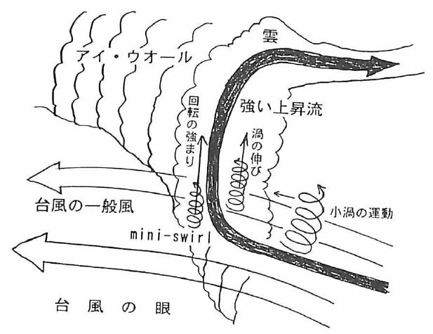 台風の中のmini swirlの概念図