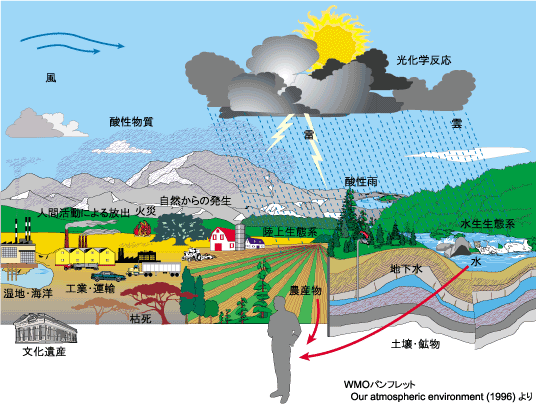 気象庁 酸性雨に関する基礎的な知識