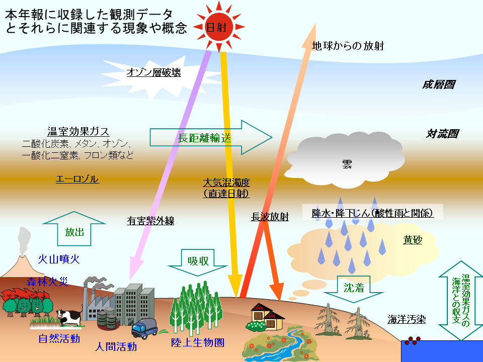 Phenomena and Concepts Covered by the Report