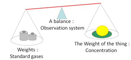 Concept of observation using standard gases