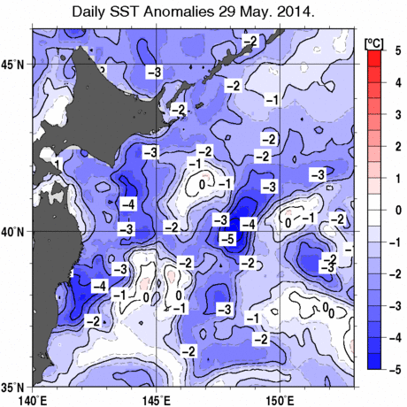 本州・北海道東方海域の海面水温平年差分布図  (5月29日) 