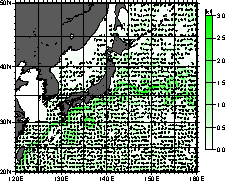 海面付近の流れ図