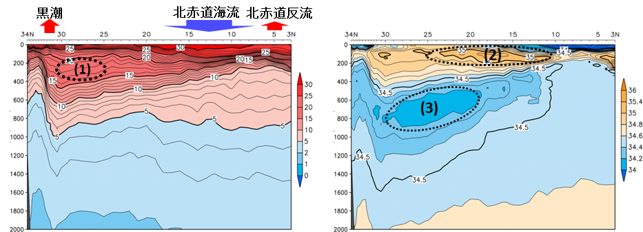 2017年夏季の137度定線の水温・塩分断面図