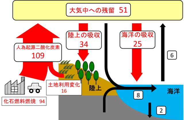 気象庁 海洋の温室効果ガスの知識 海洋の炭素循環と炭素収支