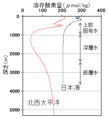 図2　2011年秋季の日本海及び北西太平洋における溶存酸素量の鉛直分布