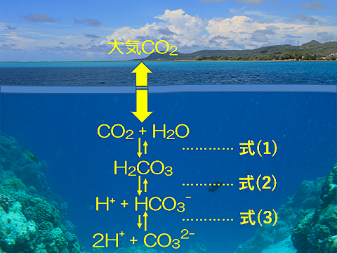 海洋中の二酸化炭素