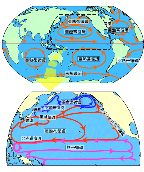 海洋表層の循環の模式図