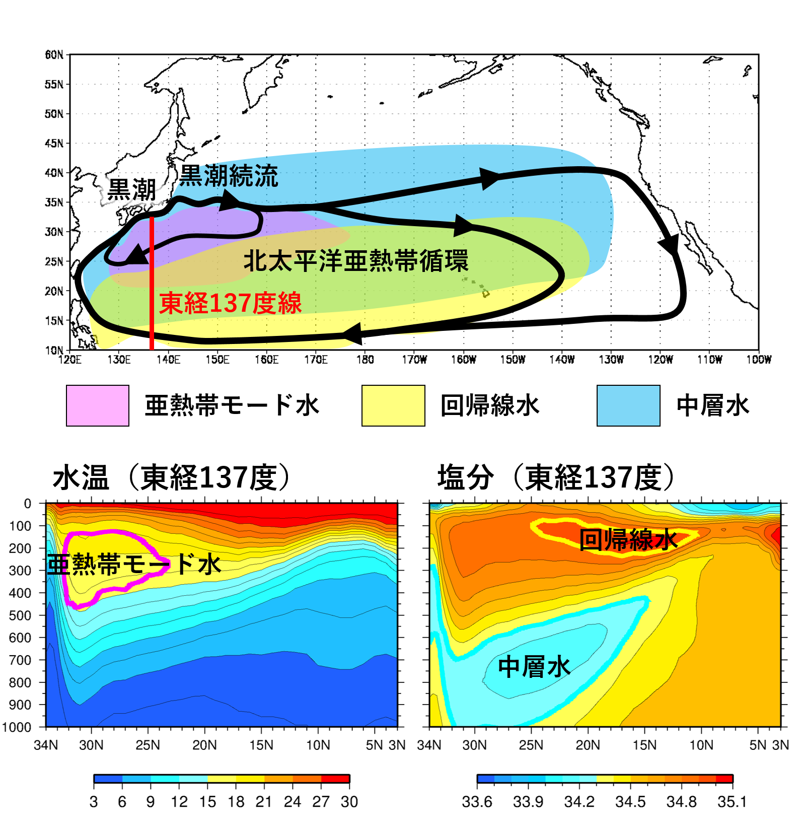 北太平洋亜熱帯循環の模式図