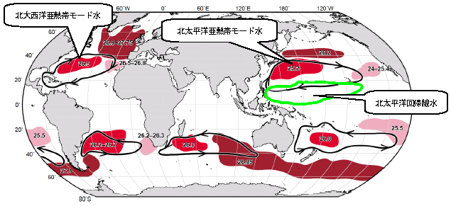 表層水塊の分布