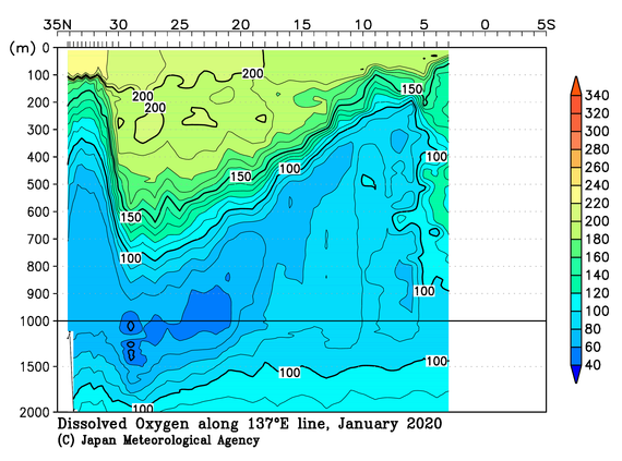 北西太平洋域の2020年冬季の溶存酸素量