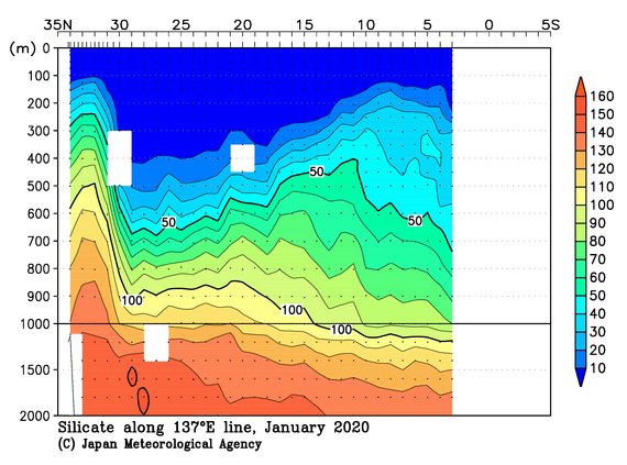 北西太平洋域の2020年冬季のケイ酸塩
