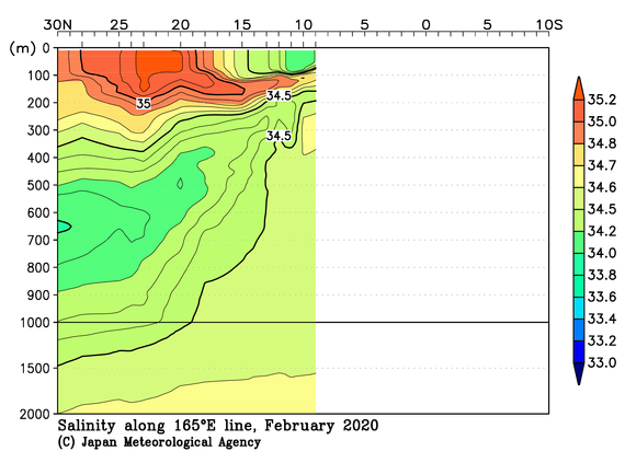 北西太平洋域の2020年冬季の塩分