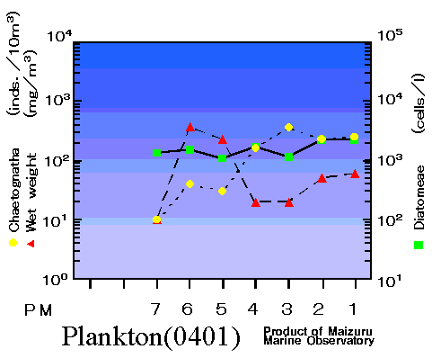 Plankton