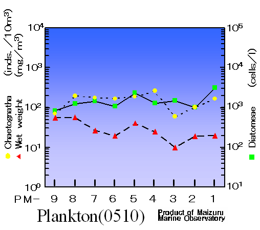 Plankton