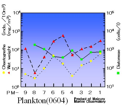 Plankton
